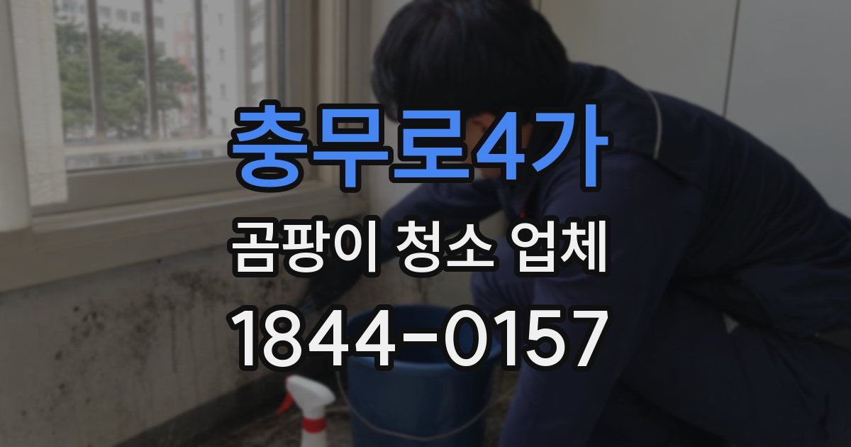 충무로4가 곰팡이 청소 업체