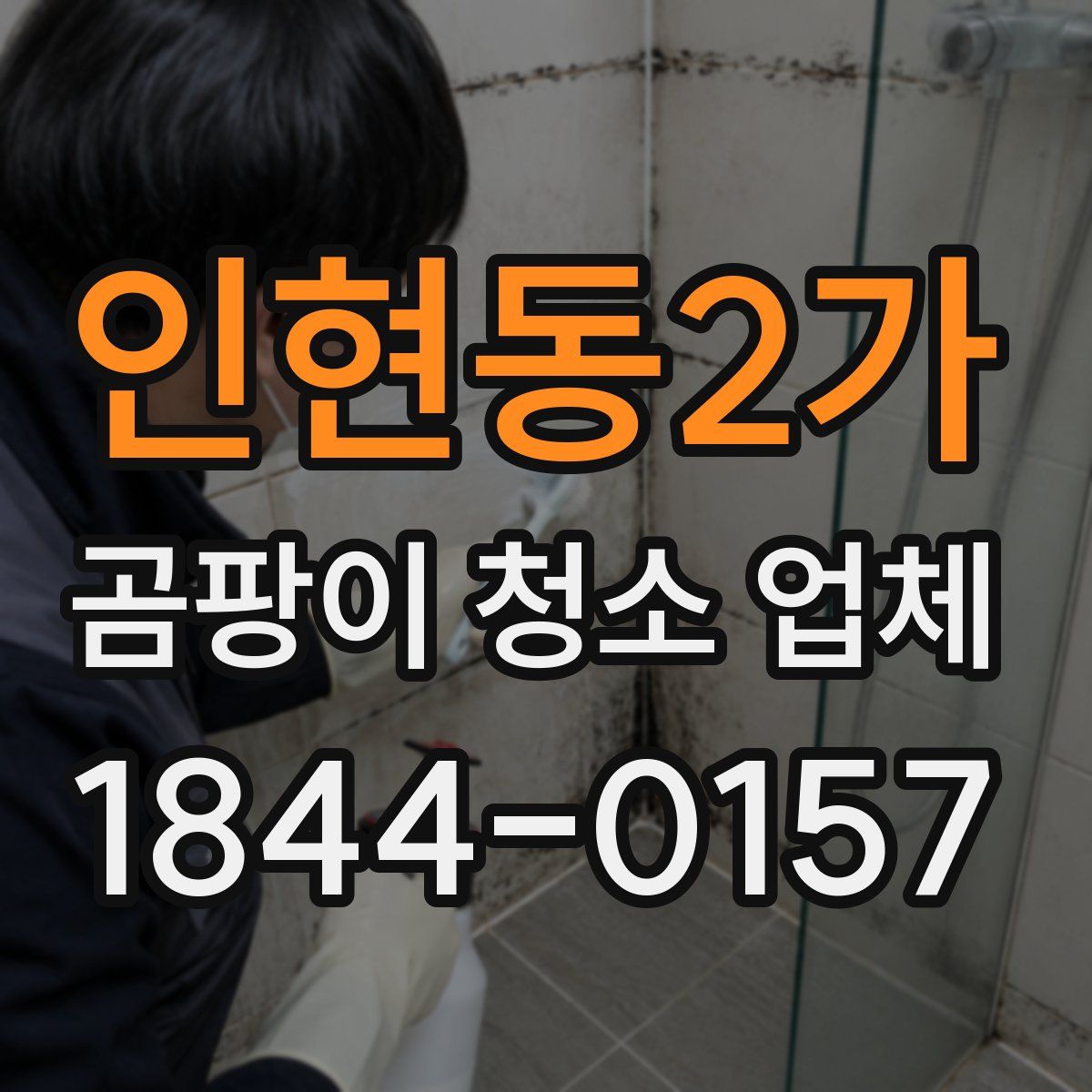 인현동2가 곰팡이 청소 업체