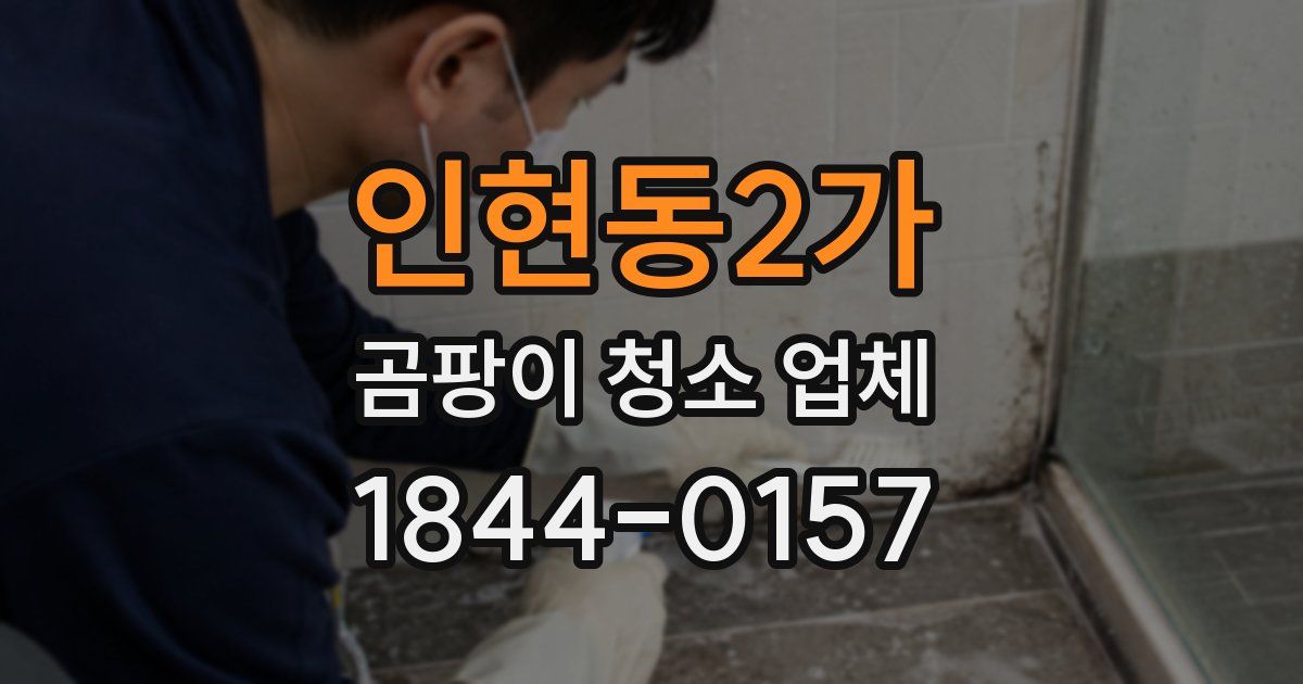 인현동2가 곰팡이 청소 업체