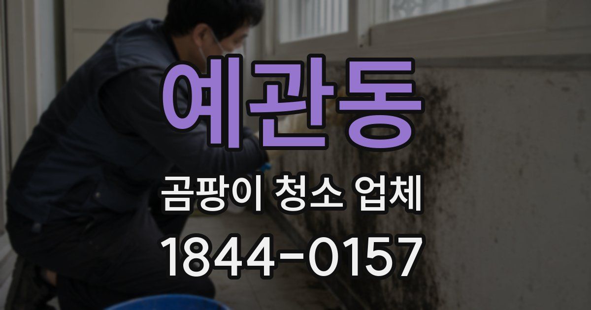 예관동 곰팡이 청소 업체