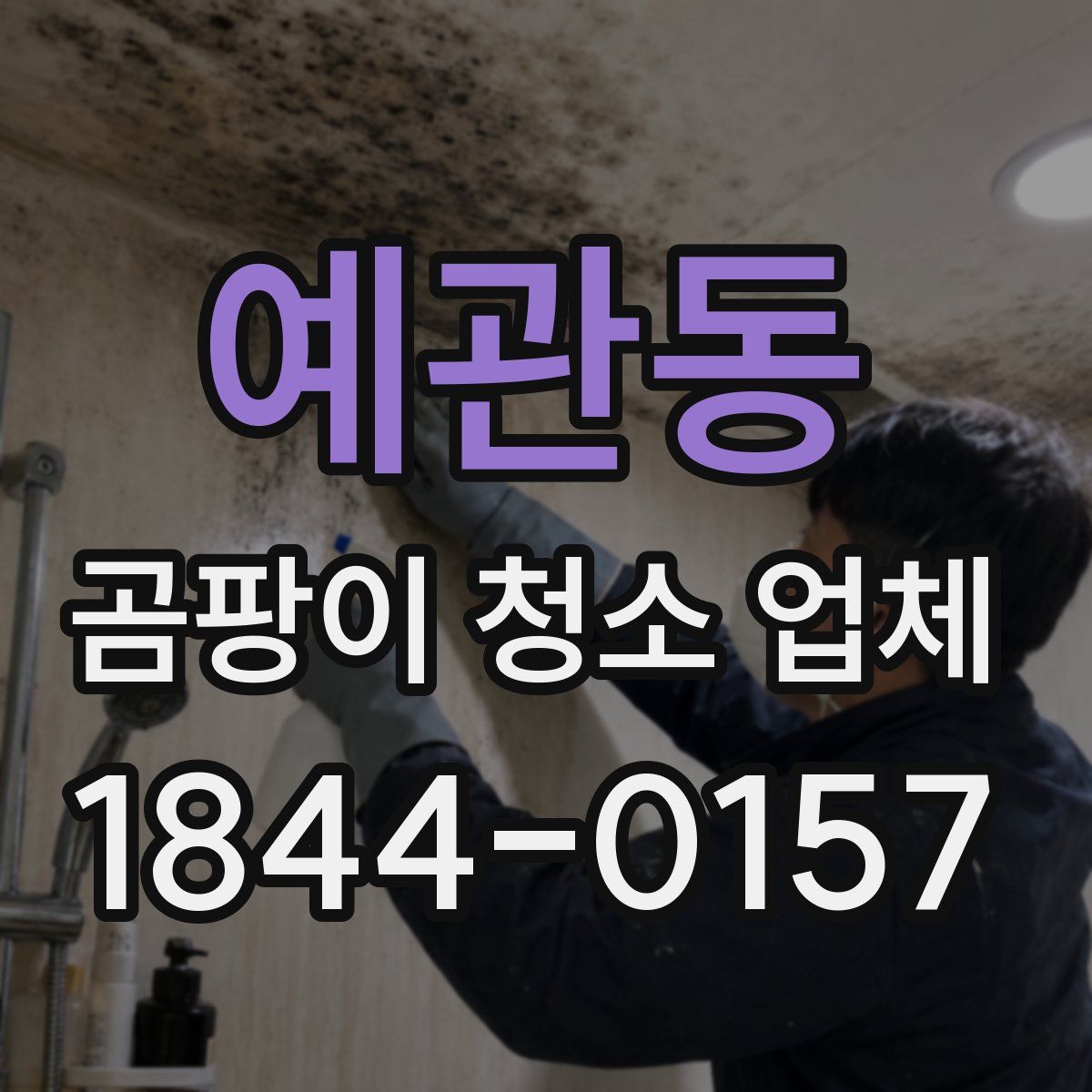 예관동 곰팡이 청소 업체