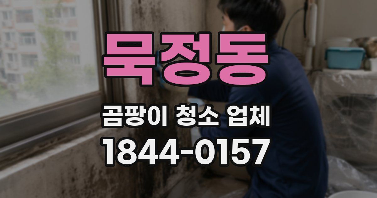 묵정동 곰팡이 청소 업체