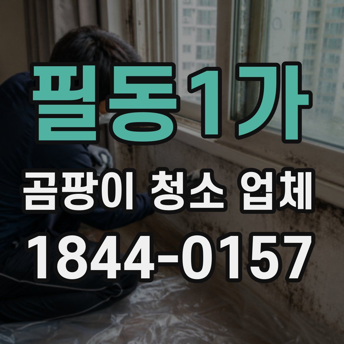 필동1가 곰팡이 청소 업체