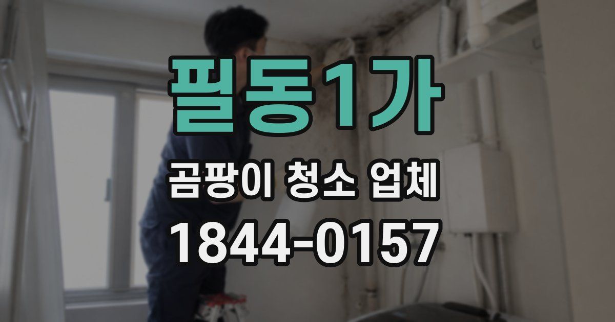 필동1가 곰팡이 청소 업체