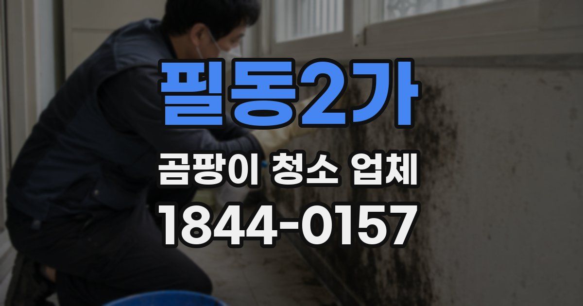 필동2가 곰팡이 청소 업체