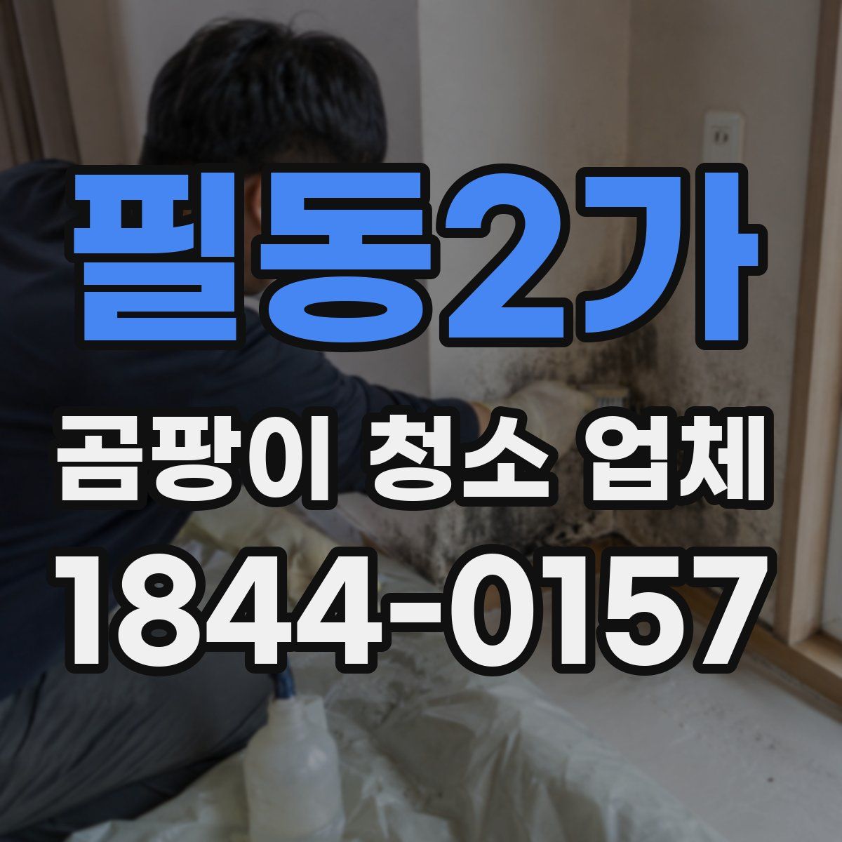 필동2가 곰팡이 청소 업체