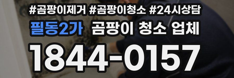 필동2가 곰팡이 청소 업체