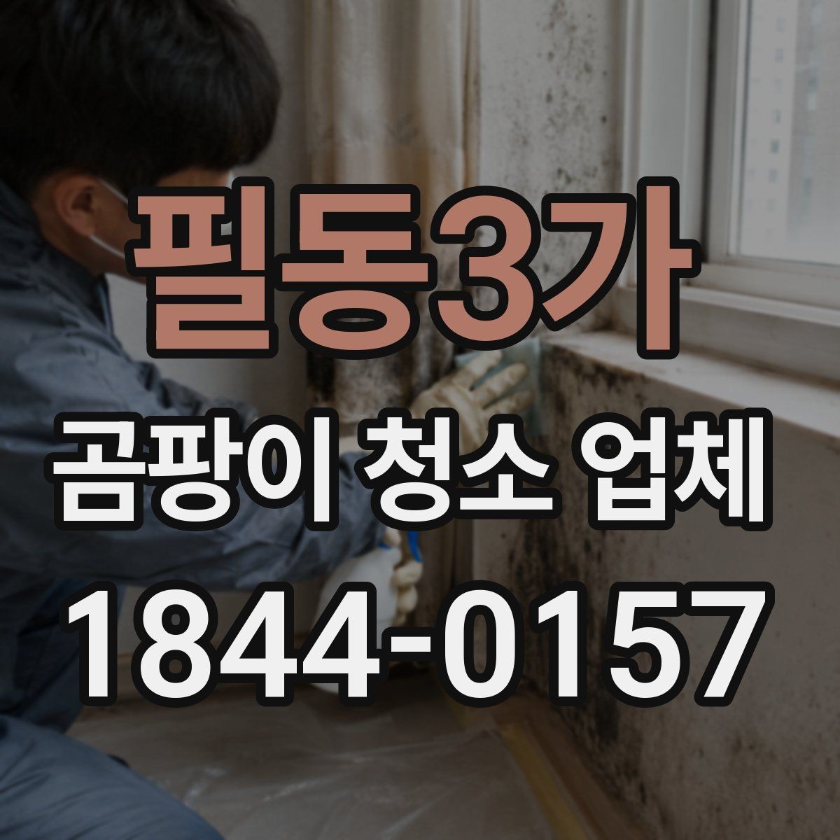 필동3가 곰팡이 청소 업체 곰팡이 번진 범위부터 확인하는 작업 절차