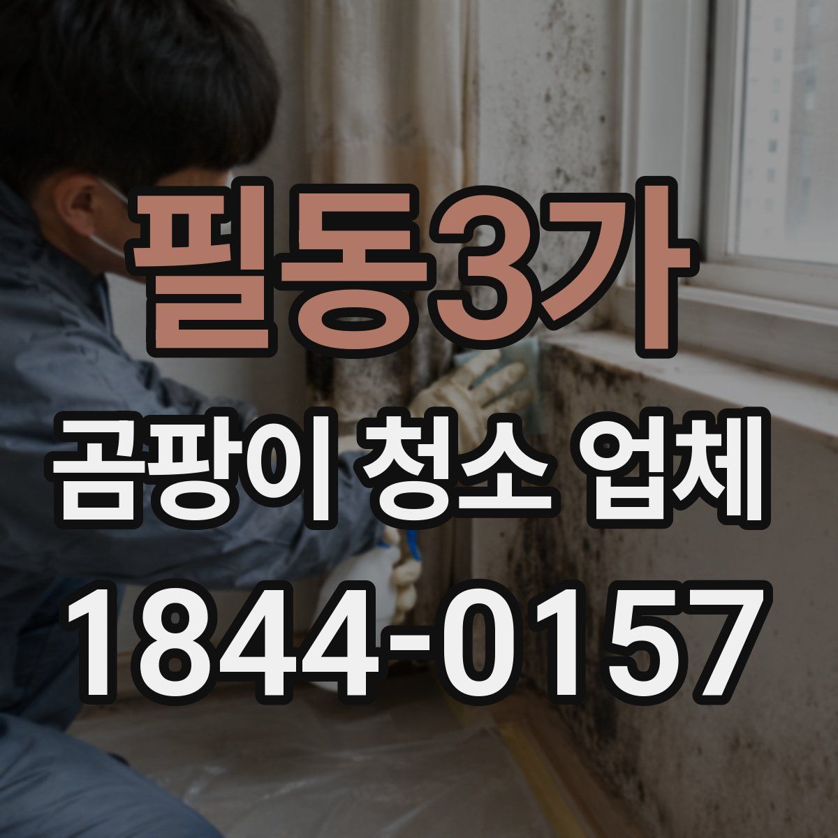 필동3가 곰팡이 청소 업체