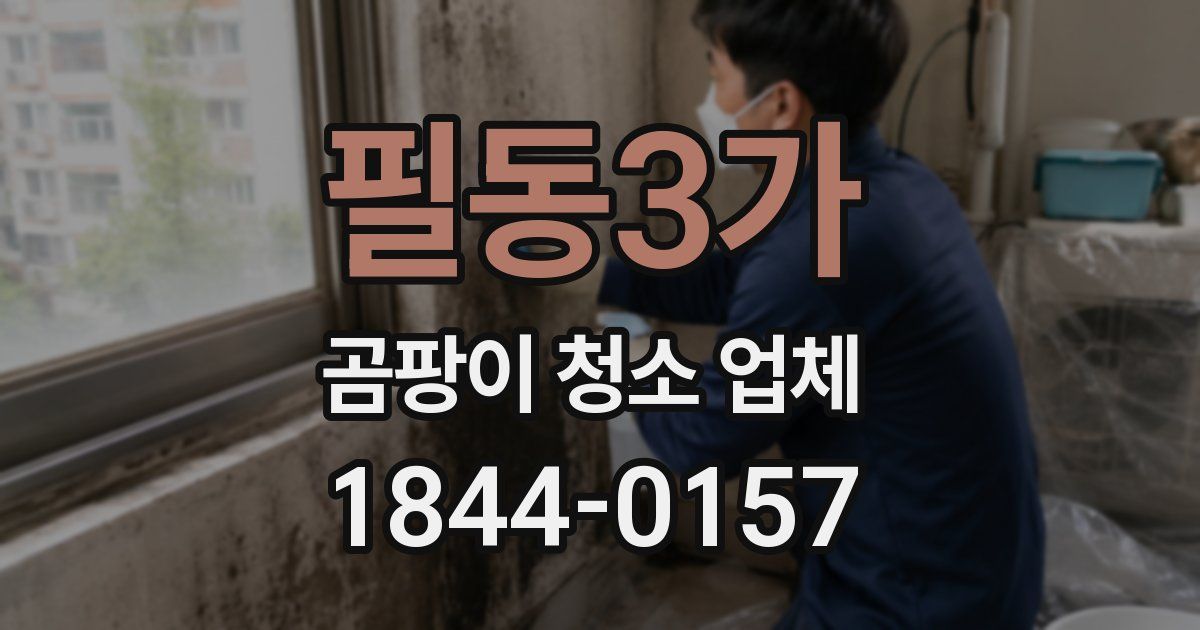 필동3가 곰팡이 청소 업체