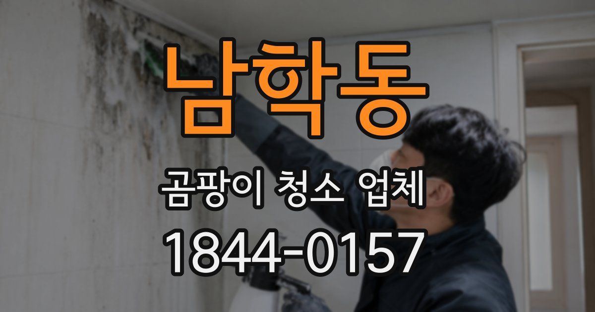 남학동 곰팡이 청소 업체