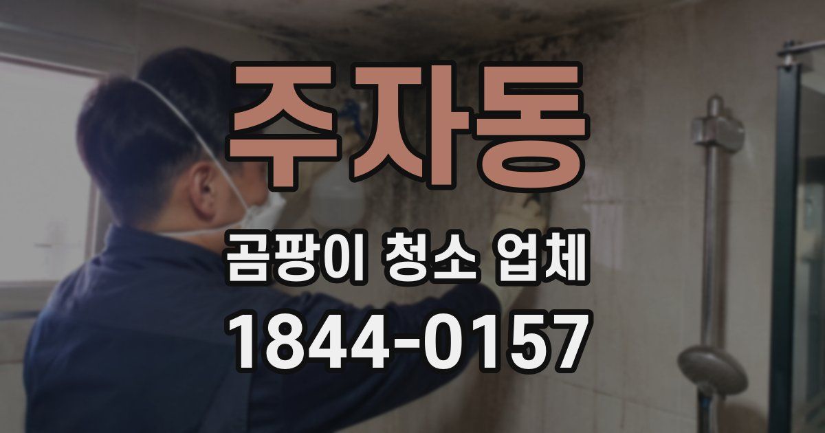 주자동 곰팡이 청소 업체