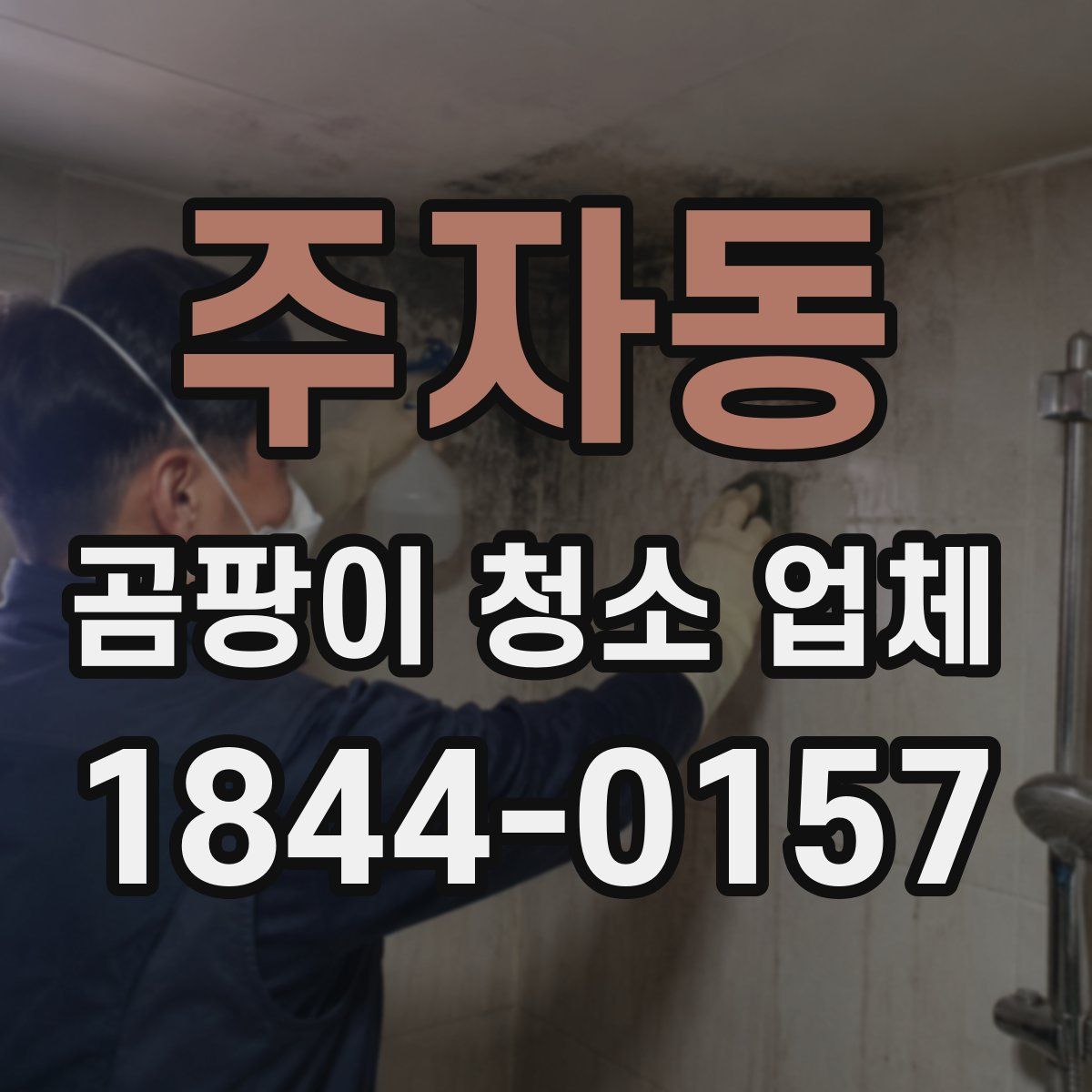 주자동 곰팡이 청소 업체