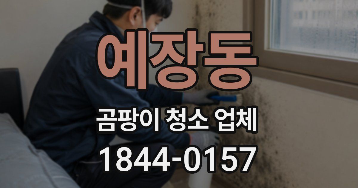 예장동 곰팡이 청소 업체