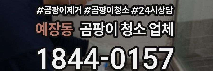 예장동 곰팡이 청소 업체