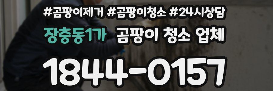 장충동1가 곰팡이 청소 업체