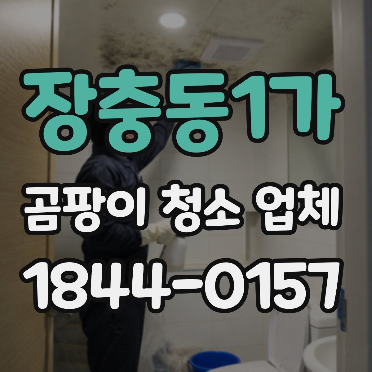 장충동1가 곰팡이 청소 업체