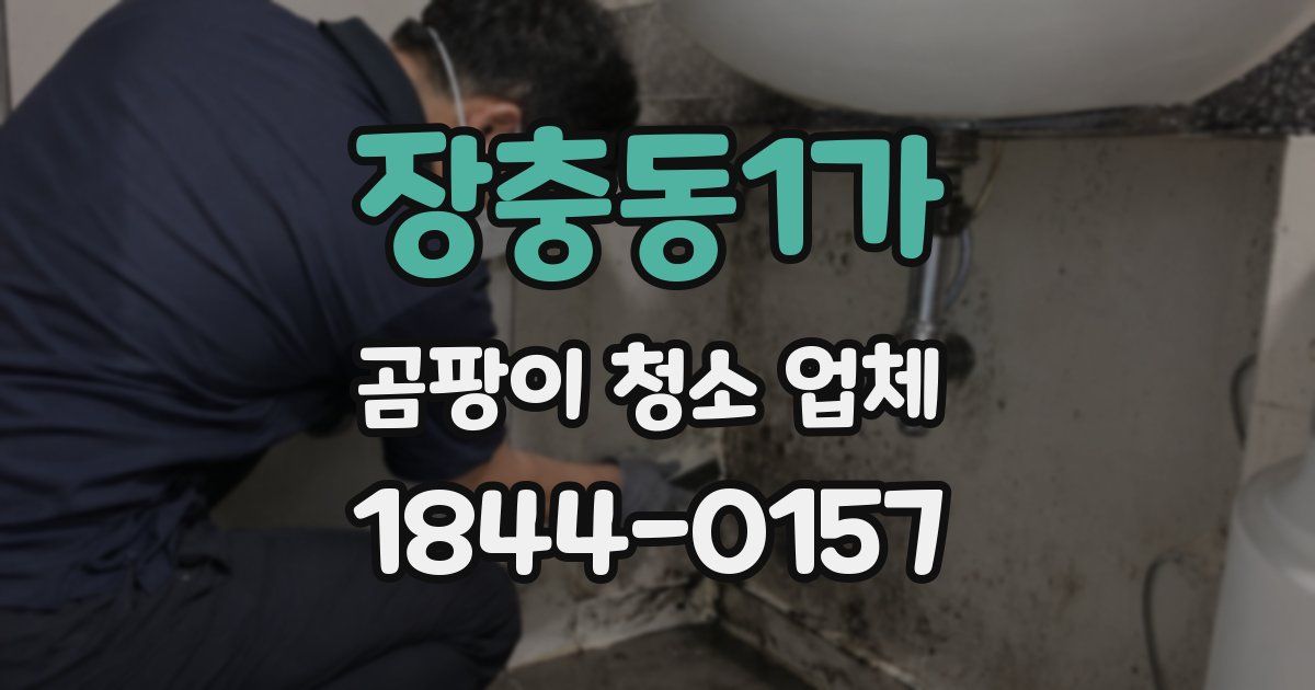 장충동1가 곰팡이 청소 업체