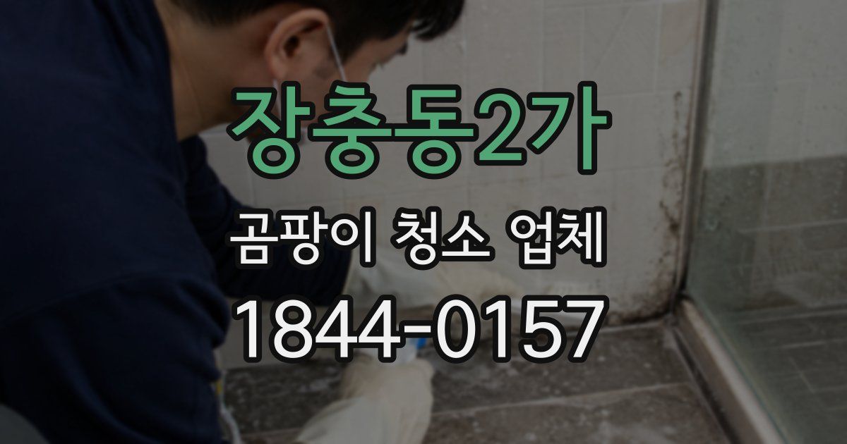 장충동2가 곰팡이 청소 업체