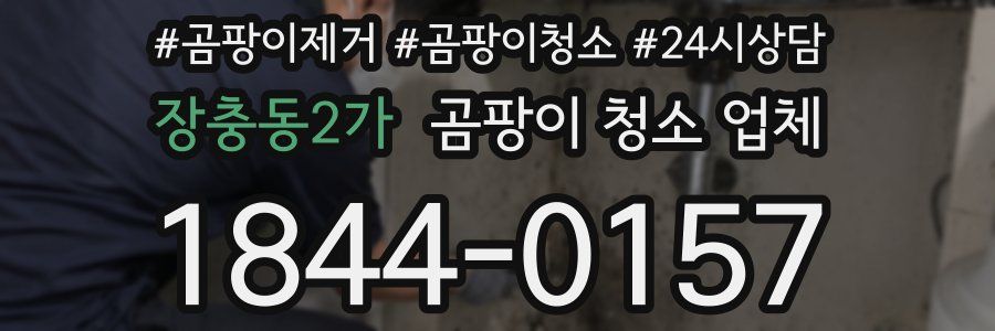 장충동2가 곰팡이 청소 업체