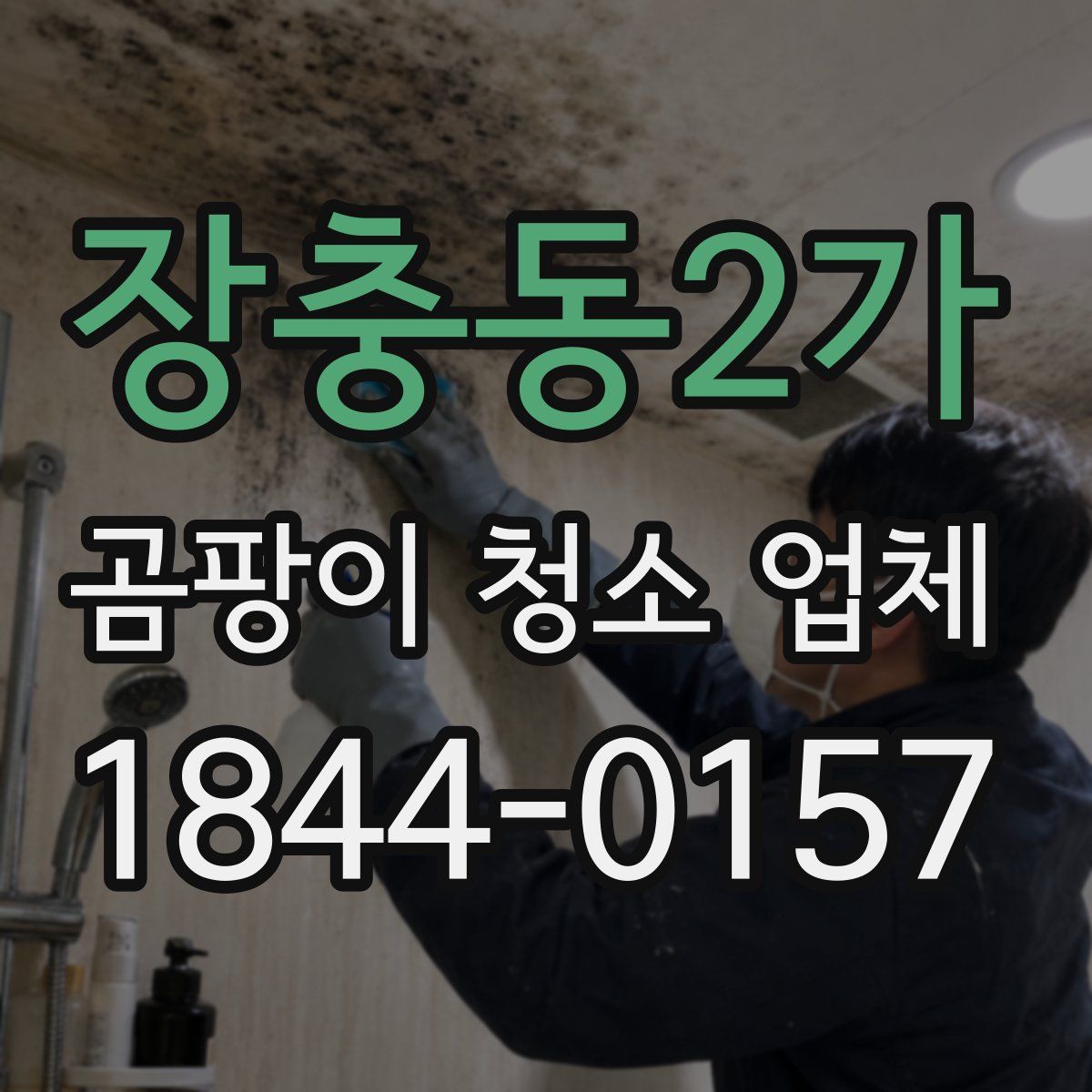 장충동2가 곰팡이 청소 업체