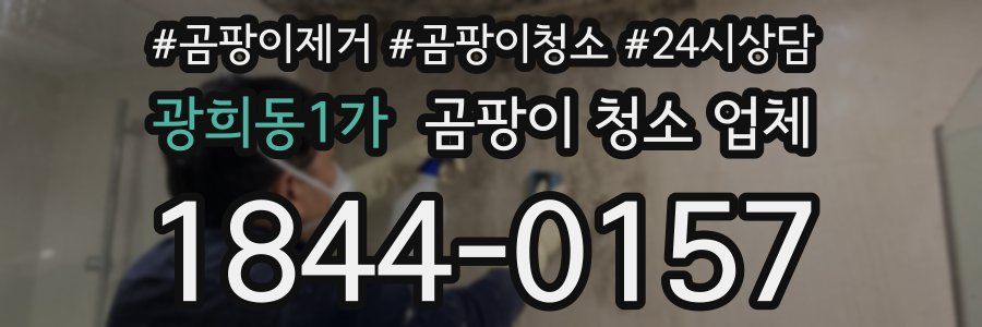 광희동1가 곰팡이 청소 업체