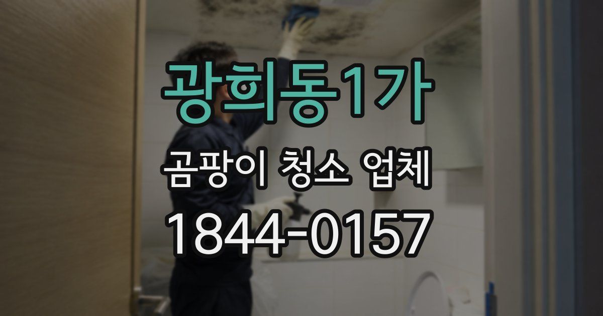 광희동1가 곰팡이 청소 업체