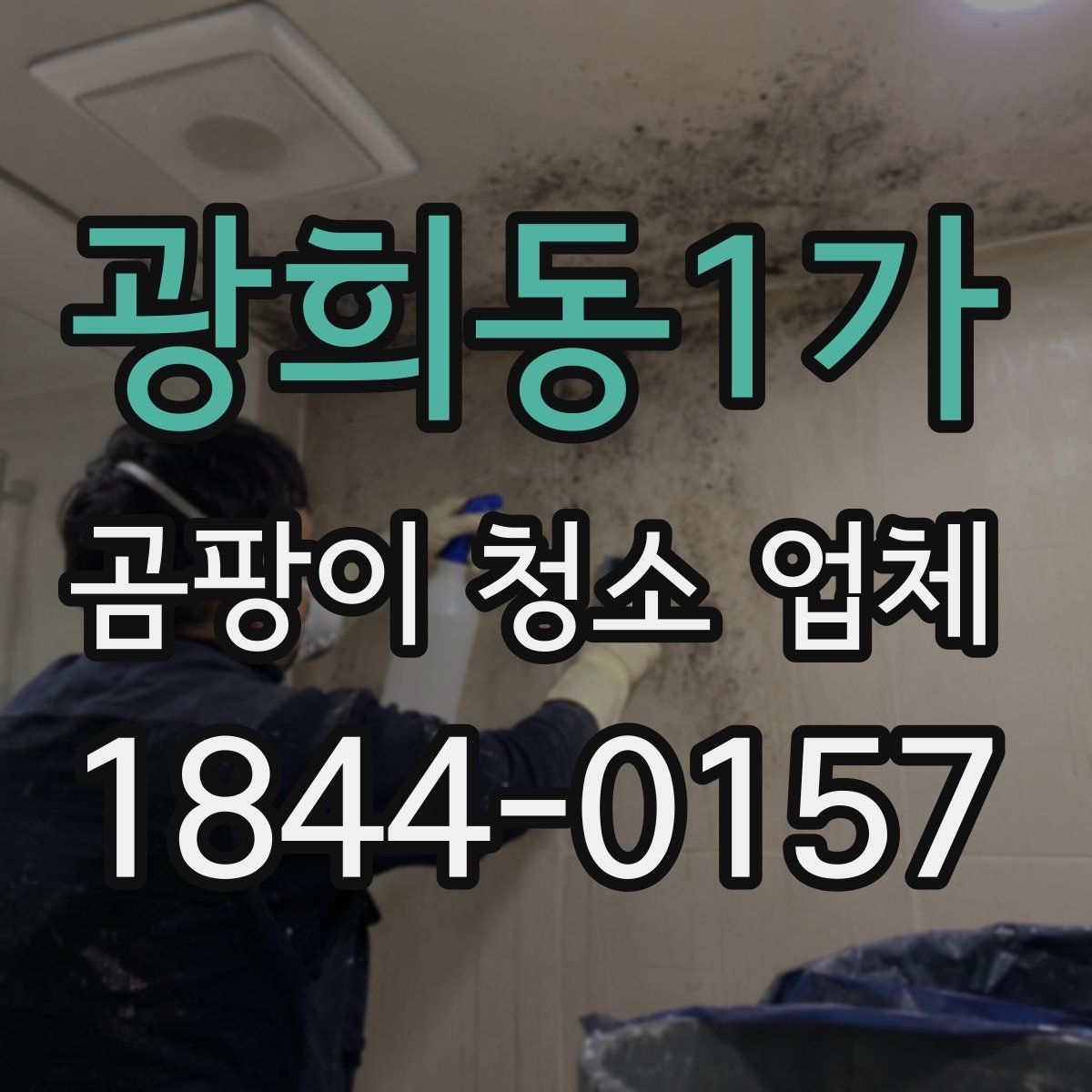 광희동1가 곰팡이 청소 업체