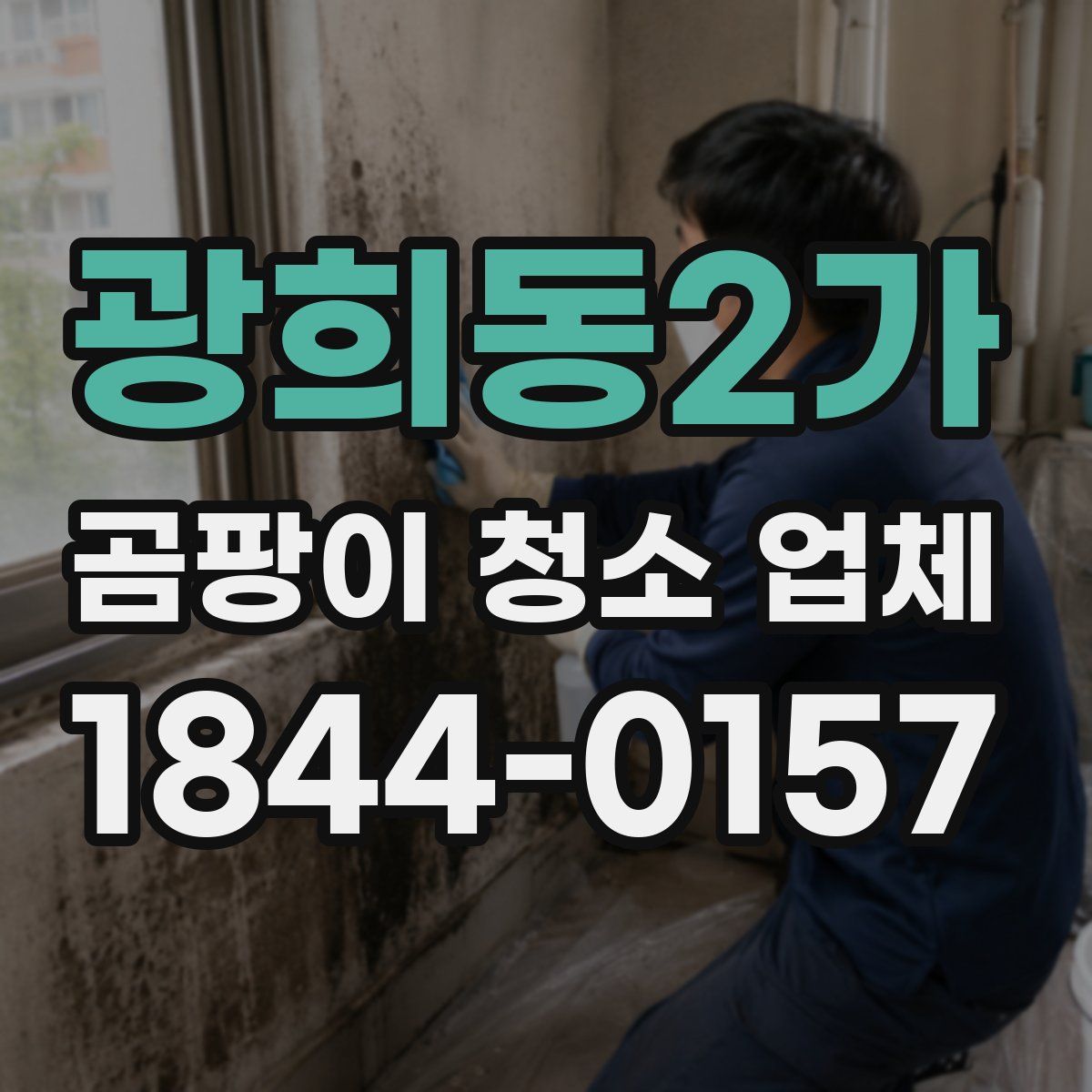 광희동2가 곰팡이 청소 업체