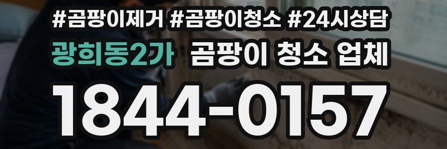 광희동2가 곰팡이 청소 업체