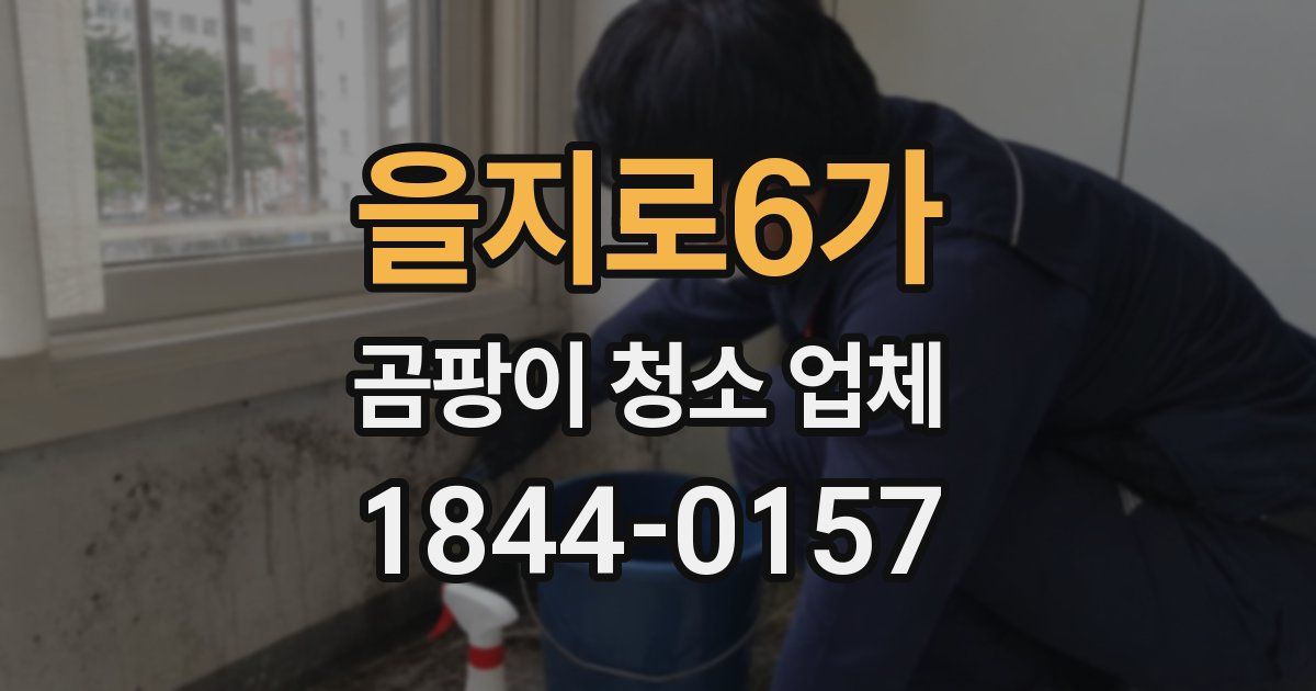 을지로6가 곰팡이 청소 업체