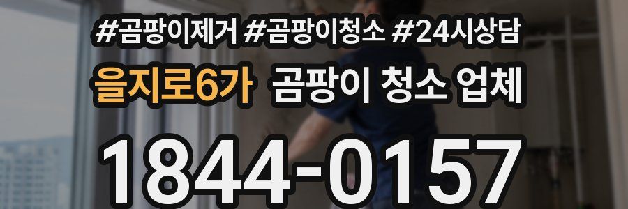 을지로6가 곰팡이 청소 업체
