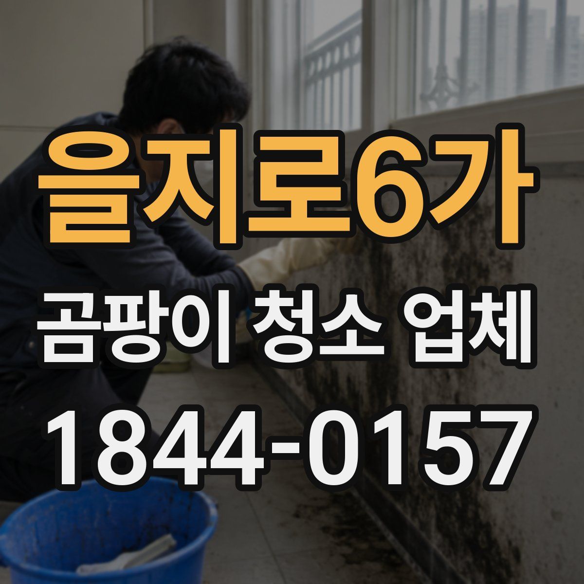 을지로6가 곰팡이 청소 업체