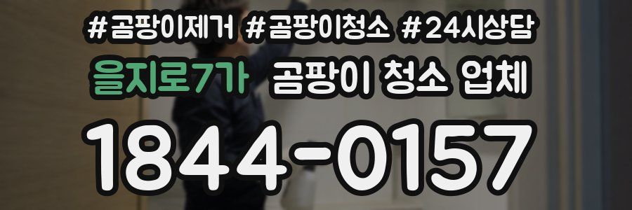 을지로7가 곰팡이 청소 업체
