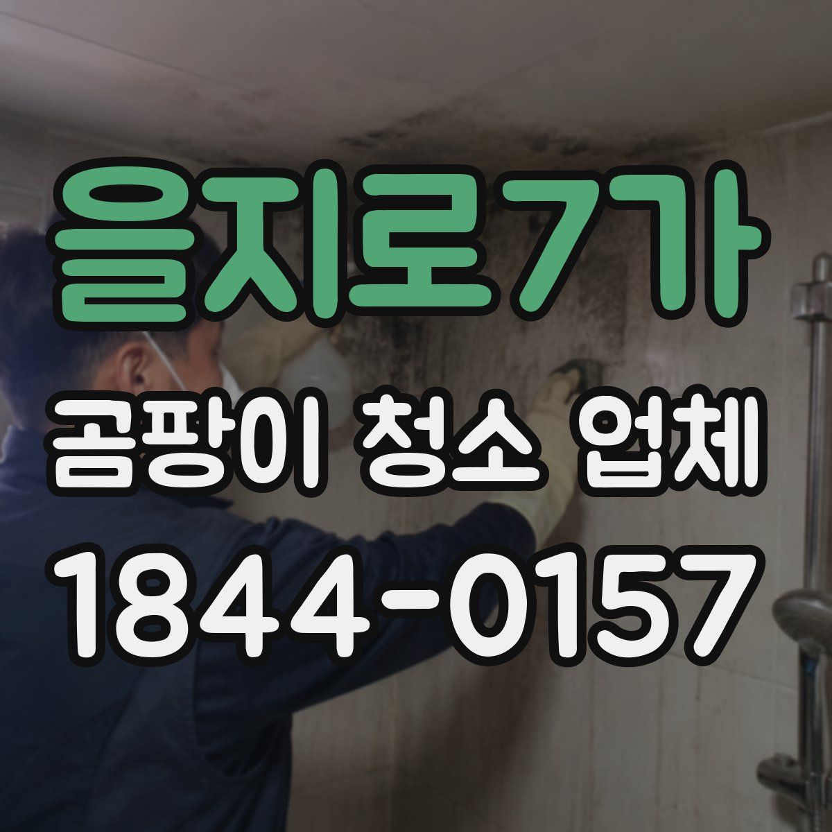 을지로7가 곰팡이 청소 업체