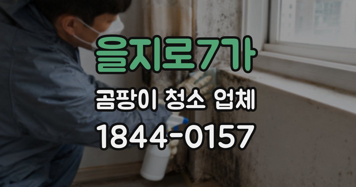 을지로7가 곰팡이 청소 업체