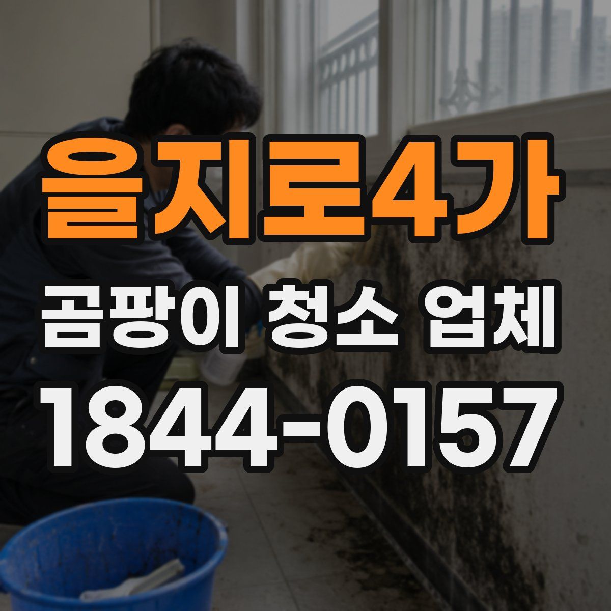 을지로4가 곰팡이 청소 업체