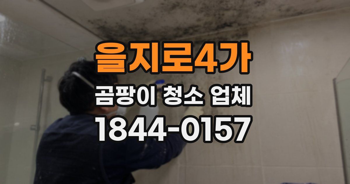 을지로4가 곰팡이 청소 업체