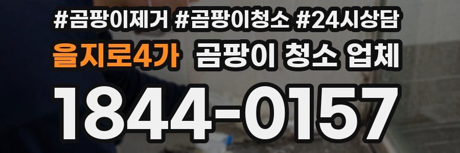 을지로4가 곰팡이 청소 업체