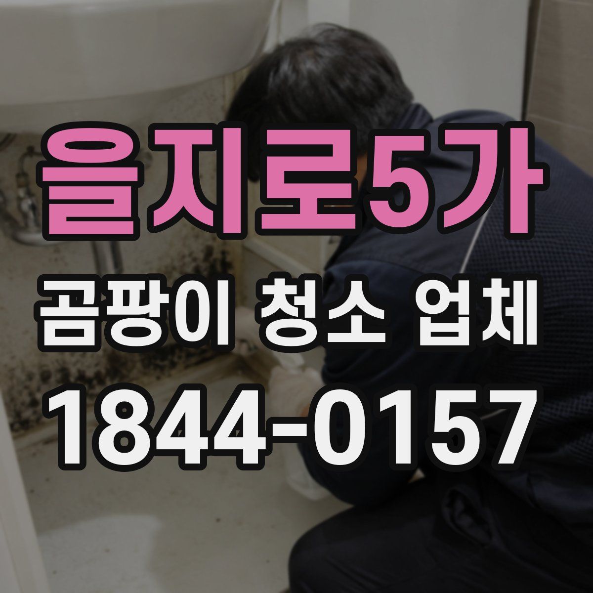 을지로5가 곰팡이 청소 업체
