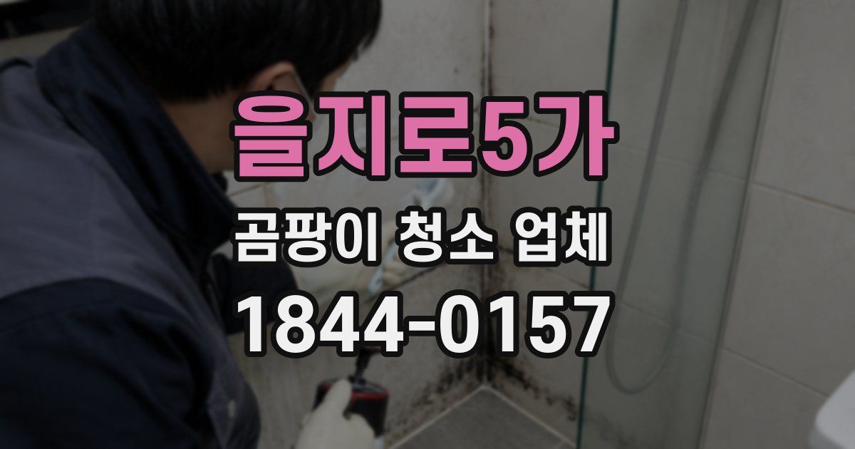 을지로5가 곰팡이 청소 업체