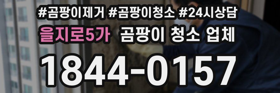 을지로5가 곰팡이 청소 업체