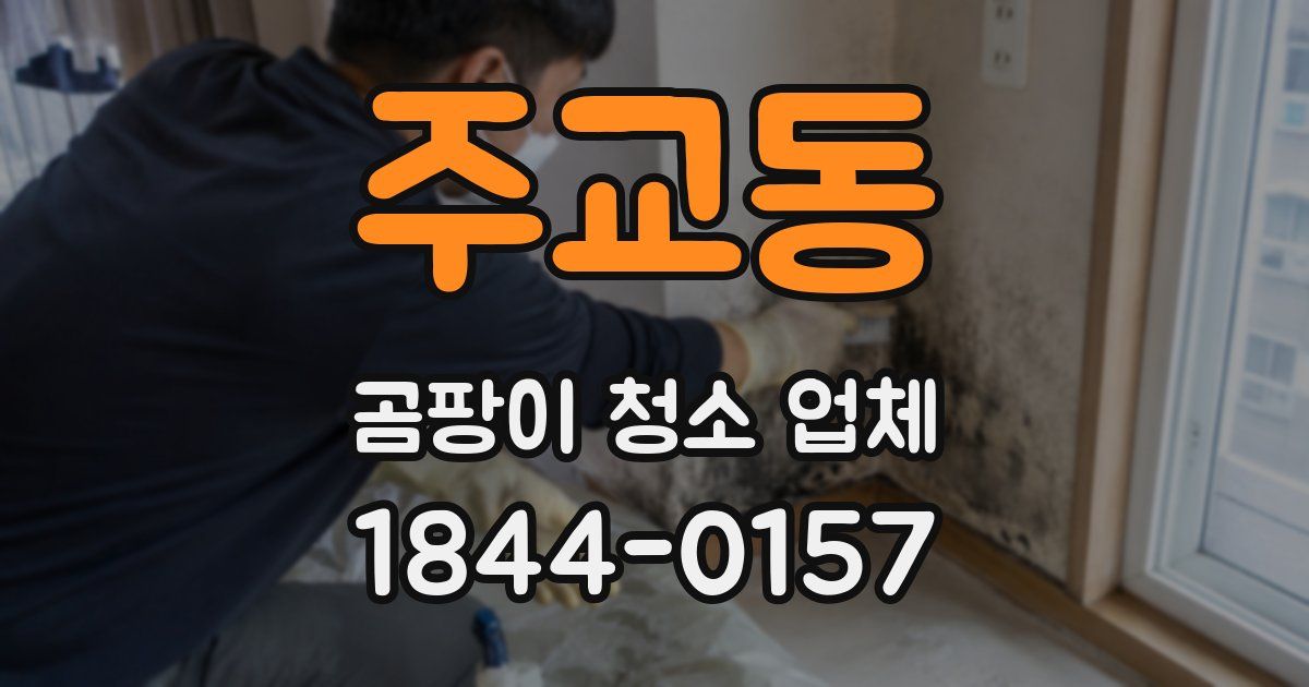 주교동 곰팡이 청소 업체
