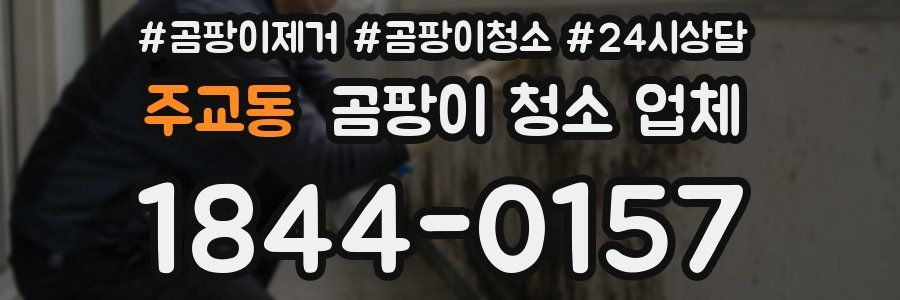 주교동 곰팡이 청소 업체