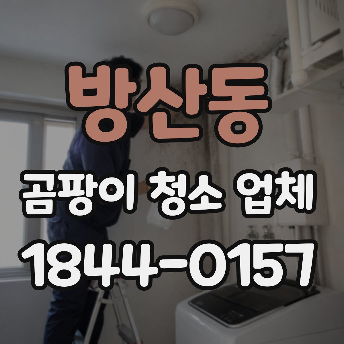 방산동 곰팡이 청소 업체