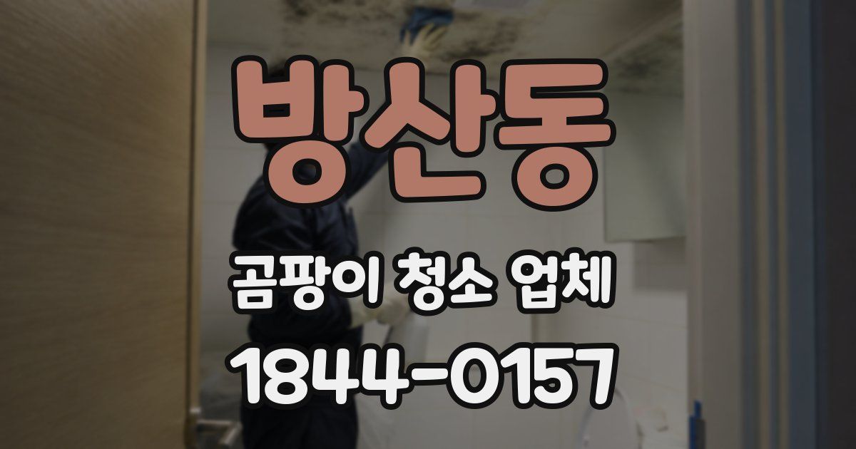 방산동 곰팡이 청소 업체