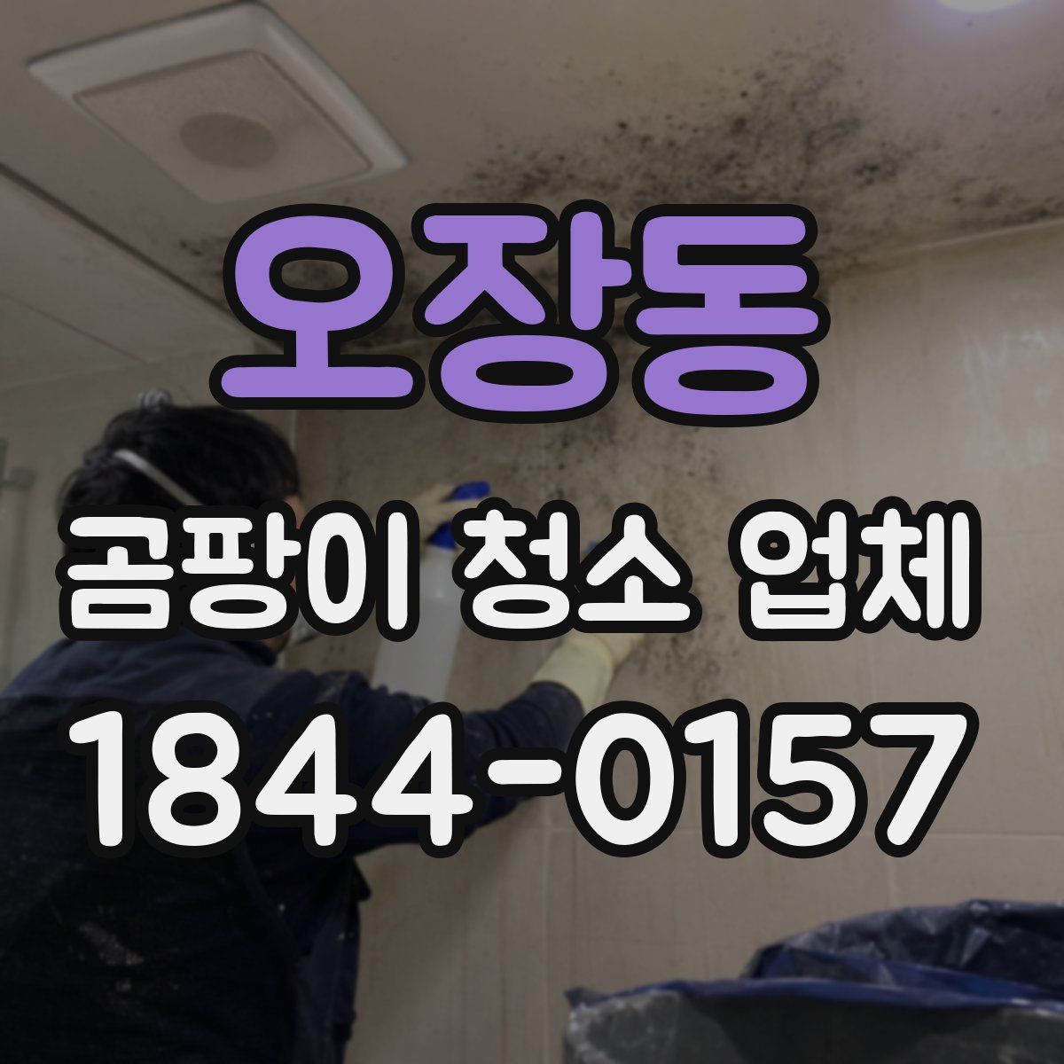오장동 곰팡이 청소 업체