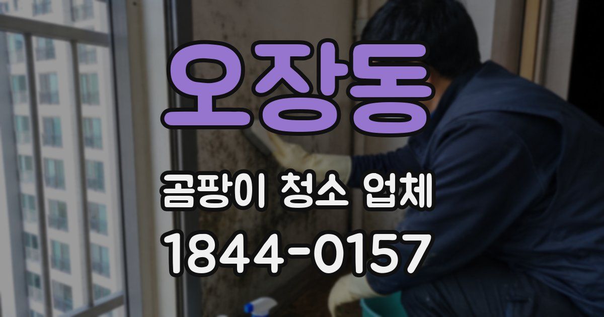 오장동 곰팡이 청소 업체