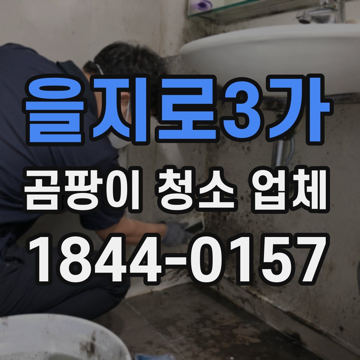 을지로3가 곰팡이 청소 업체