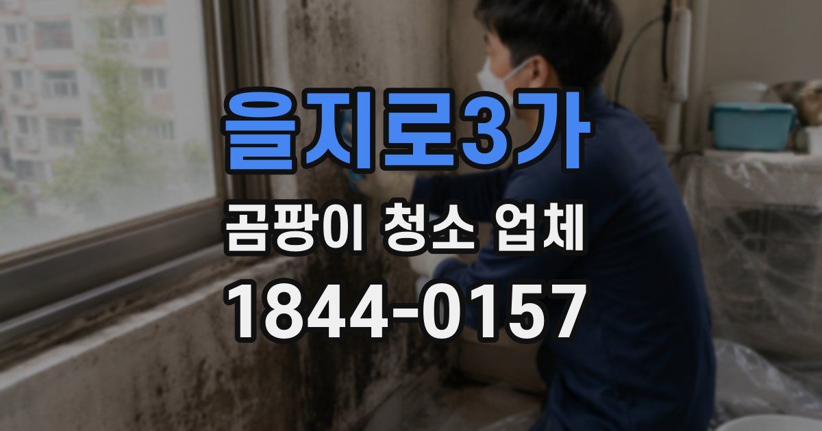 을지로3가 곰팡이 청소 업체